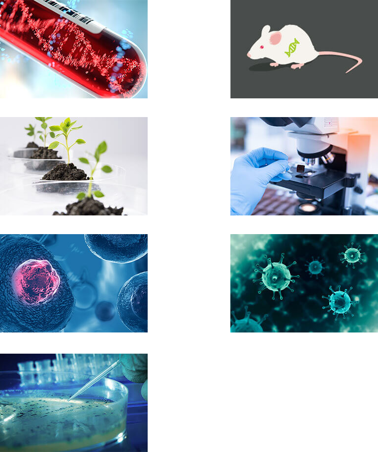 may chiet xuat dna quickgene-auto12s kurabo